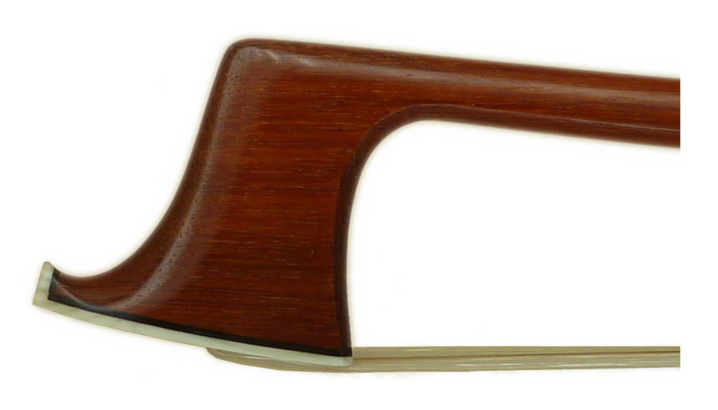 Head Close (transparent background)